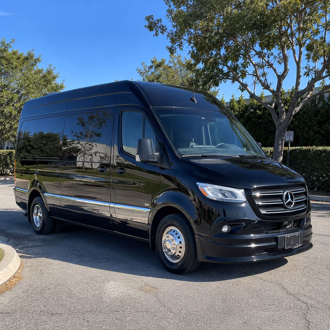pearland prom transportation onboard seating