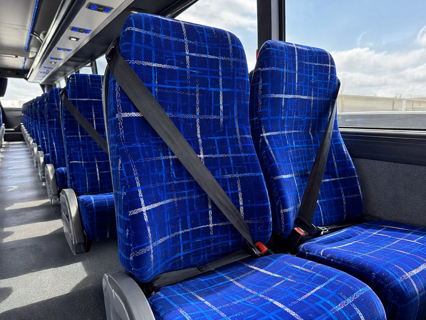 ready to compare buses for prom quinceaneras and milestone celebrations in pearland